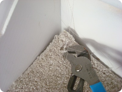 remove carpet with pliers